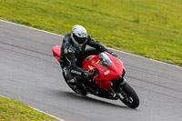 PJ-Motorsport-2019;anglesey-no-limits-trackday;anglesey-photographs;anglesey-trackday-photographs;enduro-digital-images;event-digital-images;eventdigitalimages;no-limits-trackdays;peter-wileman-photography;racing-digital-images;trac-mon;trackday-digital-images;trackday-photos;ty-croes